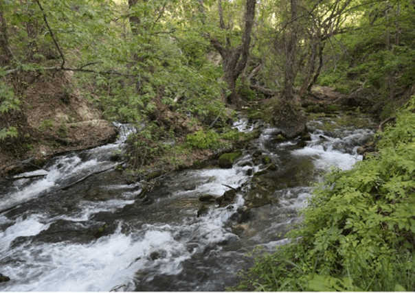 ermenek zeyve kamp alanı zeyve lavanta tatil köyü yamaç paraşütü